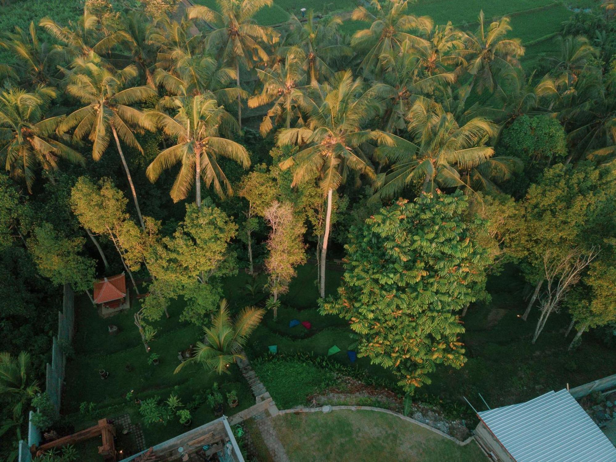 Hotel Bali Made Escape Payangan Zewnętrze zdjęcie